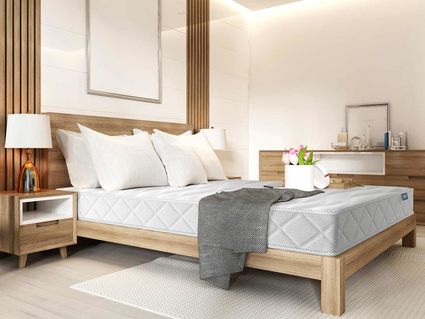 Матрас Димакс Relmas Cocos S1000 60х120